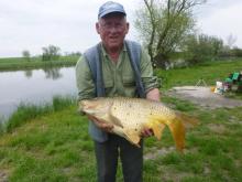 Losits Vilmos 9,5 kg-os ponty 2015.05.01.