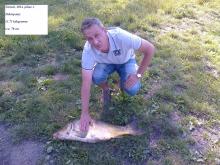 Primusz Tibor pontya